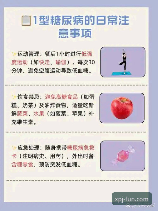 掌握新普京安卓版评测的核心要点：实用技巧与安全指南