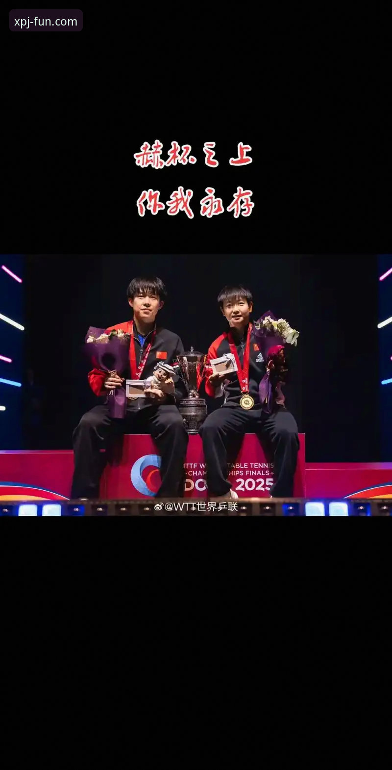 新普京官网登录 2025世乒赛小组赛精彩回顾:在新普京平台观赛的正确打开方式