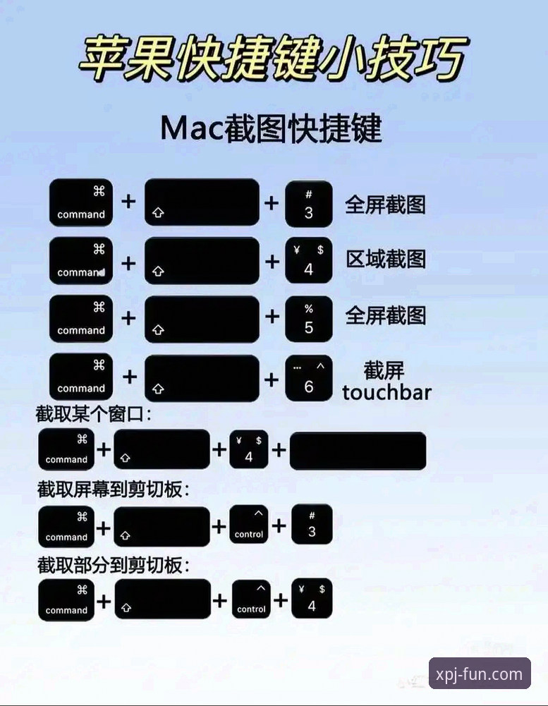 新普京平台使用指南：从入门到精通的完整教程